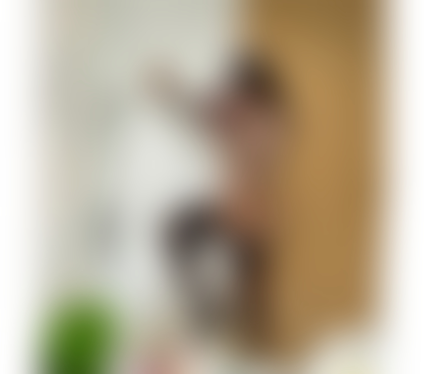Trans Escorts Greater Manchester Bolton - Photos for Hot Lavínia hot